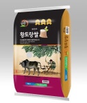 미씽: 그들이 있었다2’ 고수, 허준호, 안소희가 3공단의 마을 지기... 있었다2’ 고수, 허준호, 안소희가 3공단의 마을 지기 이정은 한 풀어준다.