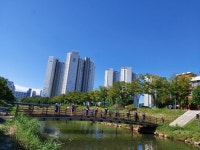 (사)바다살리기국민운동본부 안산시지부 『살아 숨 쉬는 생태 하천 우리 동네 하천구조대!』 안산천 미꾸라지방류:경인투데이뉴스... 