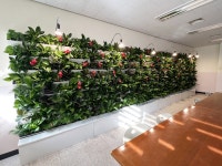 구로구, 관내 학교 2곳에 스마트가든 추가 조성:경인투데이뉴스 ≪경인투데이뉴스≫ 구로구, 관내 학교 2곳에 스마트가든 추가 조성