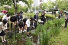 인천 중구, 영종하늘도시 실개천 미꾸라지 방류 행사 성료:경인투데이뉴스 ≪경인투데이뉴스≫ 인천 중구, 영종하늘도시 실개천 미꾸라지 방류... 