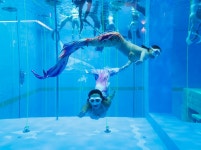 [포토]시흥시, 보니타가 딥다이빙풀 개장, 깊이만 35M:경인투데이뉴스 ≪경인투데이뉴스≫ [포토]시흥시, 보니타가 딥다이빙풀 개장, 깊이만 35M