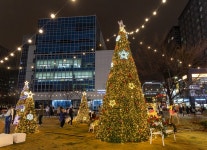 진교훈 강서구청장, “마곡에서 소원을 빌어보세요”:경인투데이뉴스 ≪경인투데이뉴스≫ 진교훈 강서구청장, “마곡에서 소원을 빌어보세요”