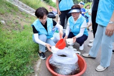 안산시 와동 주민자치회, 화정천에 EM흙공 던지고 미꾸라지 방류:경인투데이뉴스 ≪경인투데이뉴스≫ 안산시 와동 주민자치회, 화정천에 EM흙공... 