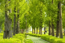 부산 대표공원 시민공원-금강공원-중앙공원, 산림청 주관‘아름다운 도시숲 50선’선정 쾌거:경인투데이뉴스 ≪경인투데이뉴스≫ 부산... 