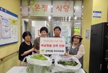 산곡2동 주민자치회, 상추로 이웃사랑 채우기:경인투데이뉴스 ≪경인투데이뉴스≫ 산곡2동 주민자치회, 상추로 이웃사랑 채우기