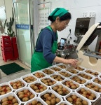 인천 남동구 만수5동, 홀몸 어르신을 위한 사랑의 밑반찬 지원:경인투데이뉴스 ≪경인투데이뉴스≫ 인천 남동구 만수5동, 홀몸 어르신을 위한... 