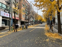 인천 남동구 구월3동 행정복지센터, 신속한 납엽 정비 추진:경인투데이뉴스 ≪경인투데이뉴스≫ 인천 남동구 구월3동 행정복지센터, 신속한... 