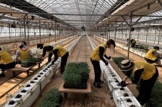 인천 남동구 장수서창동 통장자율회, 농가 일손 돕기:경인투데이뉴스 ≪경인투데이뉴스≫ 인천 남동구 장수서창동 통장자율회, 농가 일손 돕기