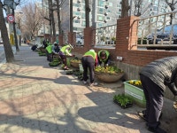 인천 남동구 만수5동 환경지킴이, 만수5동 도로변 화분에 봄 초화 식재... 인천 남동구 만수5동 환경지킴이, 만수5동 도로변 화분에 봄 초화 식재