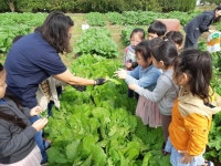 서울시의 꼬마농부를 찾습니다! [라펜트 모바일웹 조경뉴스]