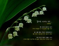 [녹색시선] 꽃을 통해 배워보는 삶의 지혜 [라펜트 조경뉴스]