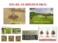 친환경 사계절 말뚝퇴비(최초/특허) [라펜트 커뮤니티]