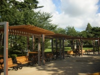 2010_일산 호수공원 [(주)세민조경]