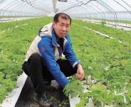 (주)강화명품 남들이 가지 않는 새로운 길에 답이 있다, 영환농장 김영환 명인 - 램프쿡 (주)강화명품  남들이 가지 않는 새로운 길에 답이 있다... 