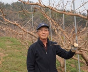 부부농장 성재희 명인 - 램프쿡 농업회사법인 (주)두보식품  대한민국 단감의 우수성을 세계에 알리다! 부부농장 성재희 명인 - 램프쿡