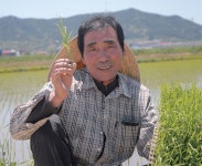 태백사내골농원 | (농)태백농업(주) 자연 그대로의 순환농업, ‘생명환경쌀’ 생명농원 허주 명인 - 램프쿡 (농)태백농업(주) 자연 그대로의 순환농업...