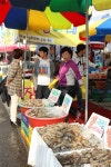 제철 대하의 환상적인 맛 안면도 백사장 대하 축제 충남 미식 축제 - 램프쿡