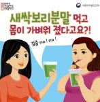 새싹보리 분말먹고 몸이 가벼워졌다고요? 건강한 식생활 카드뉴스 - 램프쿡