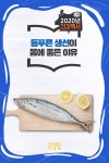 등푸른 생선이 몸에 좋은 이유 건강한 식생활 카드뉴스 - 램프쿡