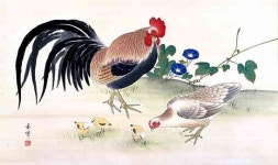 백숙에서 치킨으로, 한국을 지배한 닭 이야기 전문가 이야기 - 램프쿡