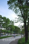[화보]디자인서울거리 광진구 능동로 < 한국의 공원 < 환경생태·문화 < 기사본문 - Landscape Times [화보]디자인서울거리 광진구 능동로