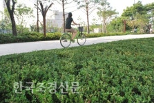[화보]디자인서울거리 광진구 능동로 < 한국의 공원 < 환경생태·문화 < 기사본문 - Landscape Times [화보]디자인서울거리 광진구 능동로