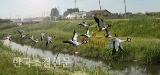 마을담장, 예술로 승화한다. < 정부기관 < 환경생태·문화 < 기사본문 - Landscape Times 마을담장, 예술로 승화한다.