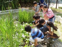 영등포구, 비오톱 조성 생태교육 활용 < 동정 < 환경생태·문화 < 기사본문 - Landscape Times 영등포구, 비오톱 조성 생태교육 활용