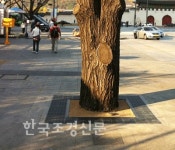 목우산업·어스그린코리아, 우수발명품 선정 < 기술과 자재 < 산업·공모 < 기사본문 - Landscape Times 목우산업·어스그린코리아... 