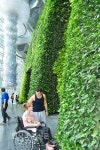서울시 신청사 내부벽면…세계 최대 수직정원 기록 < 지역사업 < 정원·산림 < 기사본문 - Landscape Times 서울시 신청사 내부벽면…세계... 