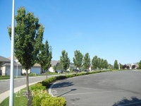 [미안하다 나무야] 수목관리 – 올바른 식재 ② < 기고 < 오피니언 < 기사본문 - Landscape Times [미안하다 나무야] 수목관리 –... 