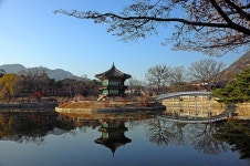 라이카클럽