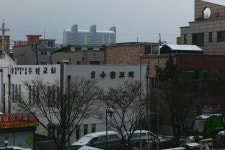 라이카클럽