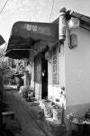 라이카클럽
