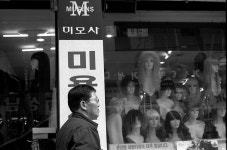 라이카클럽
