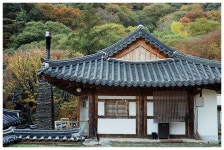 라이카클럽