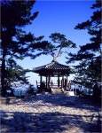 라이카클럽