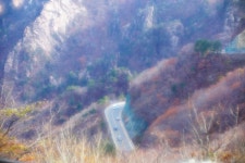 라이카클럽