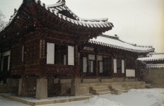 라이카클럽