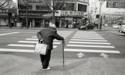 라이카클럽