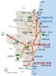자유게시판 생명과 태양의 땅 충북