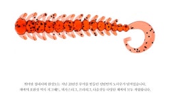 킹덤 4803 아쿠아틱 벅스 소프트베이트 - 오너클랜 오너클랜 - 킹덤 4803 아쿠아틱 벅스 소프트베이트