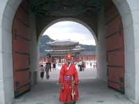 웅이 ♪의 뒷골목 얘기 (49)-B - 도깨비 뉴스