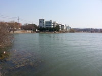 루어방 > 고객센터 > 조행기 루어방