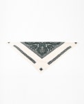 [J91PSC030] MAGJAY [J91PSC030]