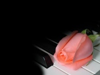 GoodNews 가톨릭정보