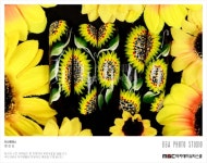 MBC아카데미뷰티스쿨 - 네일 장은진 아트