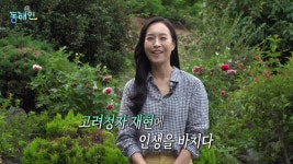 MBCNET-편성공지 - 톡톡 동해인 186회 (집념의 불꽃, 청자의 혼을 잇다)