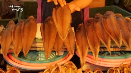 MBCNET-편성공지 - 어영차 바다야 199회 (서대, 충남 서산 창리포구)