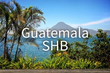 원두커피 대표기업 - 한국맥널티(주) [원두] 원두커피 - Guatemala SHB 5kg